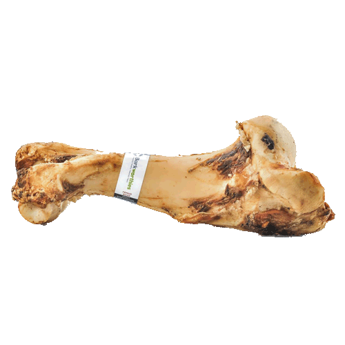 barkworthies stuffed beef bone